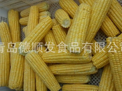 速冻甜玉米棒16-18cm 粘玉米棒14-16cm 糯玉米棒水果玉米图4