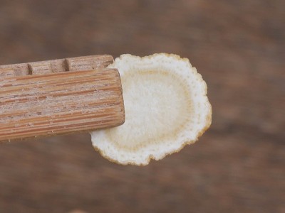 长白山西洋参切片东北西洋参片花旗参批发软支硬支支持代发打粉图4
