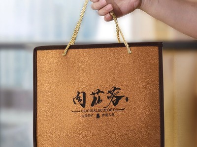 批发阿拉善肉苁蓉鲜干精选片春节礼品盒送礼佳品200克赠手袋图4