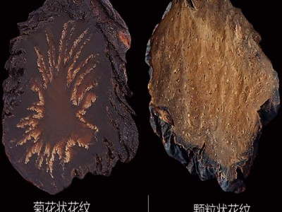 批发代发新鲜阿拉善肉苁蓉与锁阳泡酒内蒙古中药材肉苁蓉油切片图4