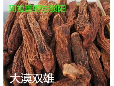 内蒙古阿拉善金锁阳 1000G搭配肉苁蓉泡水泡酒料图2