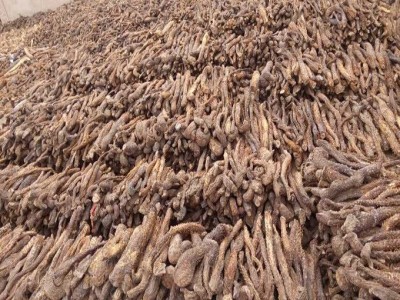肉苁蓉阿拉善肉苁蓉内蒙古整根泡酒料油肉苁蓉批发图2