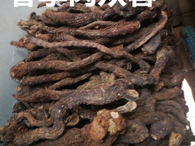 肉苁蓉阿拉善肉苁蓉内蒙古整根泡酒料油肉苁蓉批发图4