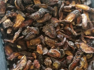 肉苁蓉阿拉善秋季油苁蓉代切片售锁阳图2