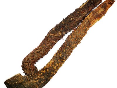 肉苁蓉阿拉善秋季油苁蓉代切片售锁阳图4