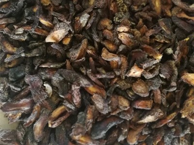 肉苁蓉阿拉善秋季油苁蓉代切片售锁阳图3