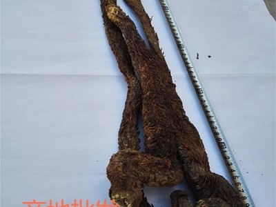 肉苁蓉阿拉善秋季油苁蓉代切片售锁阳图5