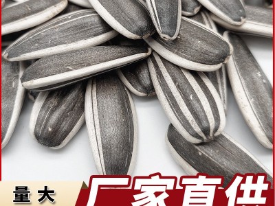 内蒙古大瓜子工厂批发直销新原味熟葵花籽生多味散装向日葵香瓜子图2
