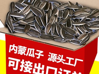内蒙古大瓜子工厂批发直销新原味熟葵花籽生多味散装向日葵香瓜子图3