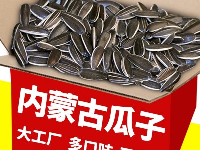 内蒙古大瓜子工厂整箱批发葵花籽原味熟向日葵焦糖五香核桃葵瓜子图2