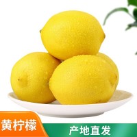 安岳黄柠檬水果批发口感酸爽超大果产地直发10斤起批产地直发