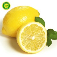 新鲜黄柠檬安岳尤力克中果 产地货源5斤包邮
