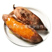 一件代发新鲜红薯龙薯九红薯蜜薯板栗薯小香薯黄心番薯5斤香甜软