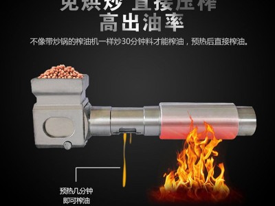 核桃温控不锈钢商用榨油机不锈钢榨油机批发全自动小型商用榨油机图3