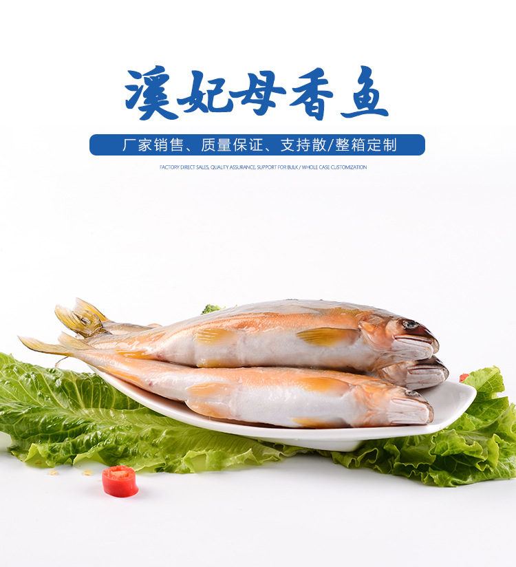 母香鱼详情_01