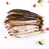 鲜活公香鱼冷冻海鲜一盒2斤装 多种规格新鲜日本料理食材厂家出售