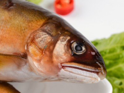 鲜活公香鱼冷冻海鲜一盒2斤装 多种规格新鲜日本料理食材厂家出售图4