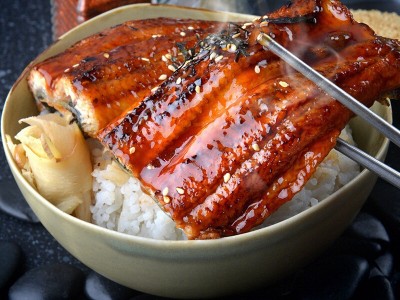 20尾蒲烧鳗鱼 刺身寿司鳗鱼 即食鳗鱼 海鲜冷冻食材批发图4