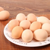 草鸡蛋40枚装山鸡蛋土鸡蛋一件代发产妇宝宝新鲜鸡蛋