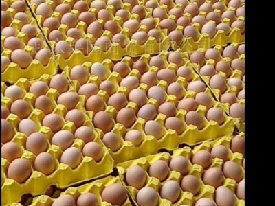 大量批发新鲜土鸡蛋草鸡蛋柴鸡蛋笨鸡蛋厂家低价销售量大从优图2