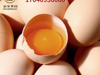 大量批发新鲜土鸡蛋草鸡蛋柴鸡蛋笨鸡蛋厂家低价销售量大从优图3