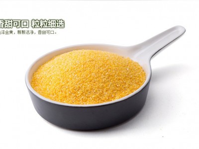 新款上市厂家直销煮粥五谷杂粮玉米糁粗粮碎 玉米渣子批发精品图4