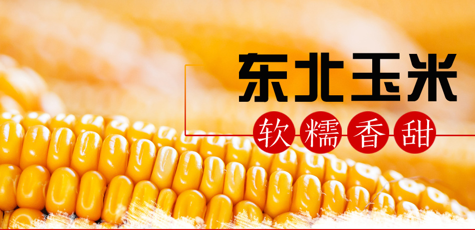首页_18
