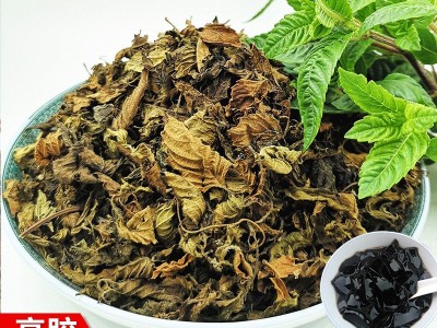 福建10公斤袋装仙草叶片 高胶做冻仙草叶片 凉粉凉茶无土烧仙草叶图2