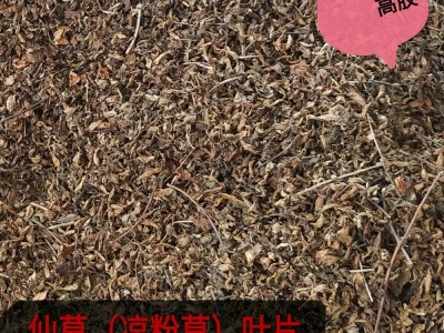 福建仙草凉粉草叶片0.5kg 高胶无土 做烧仙草冻 龟苓膏 果冻布丁图5