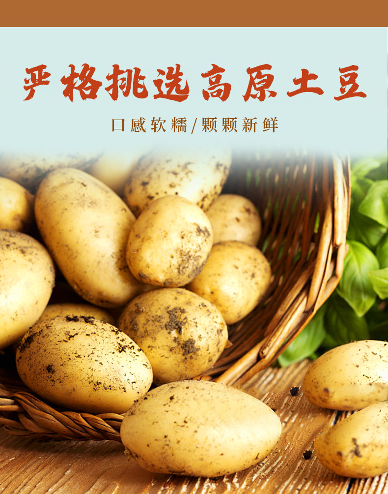 50g土豆-_04.jpg