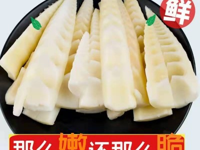 新鲜小冬笋竹笋水煮高山笋5斤现挖竹笋蔬菜农产品时令蔬菜春笋图3