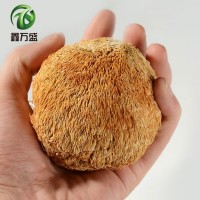 鑫万盛香菇干货批发 福建特产大号猴头菇500g散装新货大个