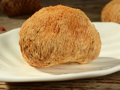 鑫万盛香菇干货批发 福建特产大号猴头菇500g散装新货大个图4