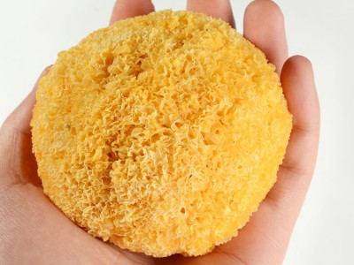 古田银耳干货精选无人工添加硫丑耳250g装包邮新货银耳糯出胶快图3