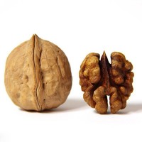 薄皮山核桃包邮代发 野生核桃 薄皮晒干核桃 野生山核桃一件代发