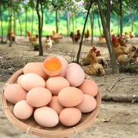 农家散养绿壳乌鸡蛋土鸡蛋口感好农场直发日捡日发