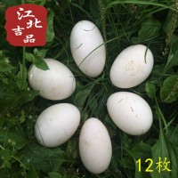 【12枚装】土鹅蛋农场放养草鹅蛋起淘宝微商一件代发批发顺丰