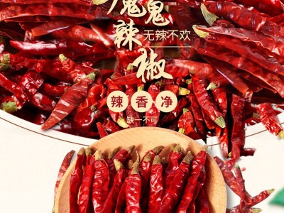 魔鬼椒500g干辣椒辣椒干辣椒可打粉面印度魔鬼辣椒图2