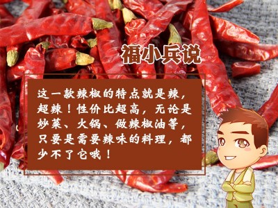 魔鬼椒500g干辣椒辣椒干辣椒可打粉面印度魔鬼辣椒图3