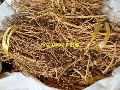 石参根 1000克天蓬草 雀舌草 虎 尾轮 黄瓜参、石参根图3