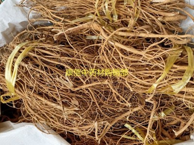 石参根 1000克天蓬草 雀舌草 虎 尾轮 黄瓜参、石参根图5