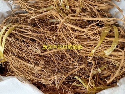 石参根 1000克天蓬草 雀舌草 虎 尾轮 黄瓜参、石参根图4