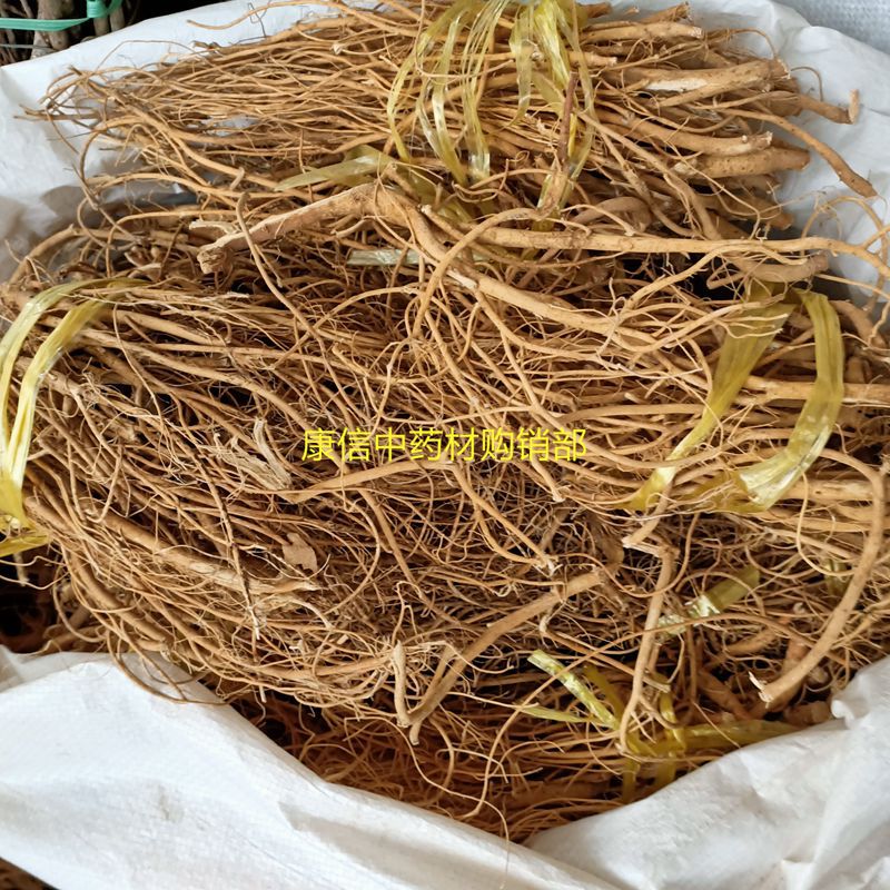 石参根5_副本