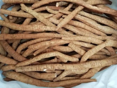 跑江湖地摊展销会产品 鲜牛大力 新鲜牛大力 褒汤炖汤泡酒料图3