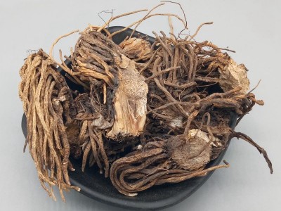 中药材 供应 藜芦 黑藜芦 山葱 大叶藜芦 棕包头 量大从优图4