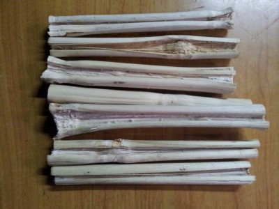供应竹干蔗 竹蔗干 甘蔗 甜竹 宠物磨牙1000g图5