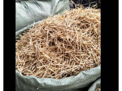 供应野生长条白茅根 特级长茅根 足干货图4