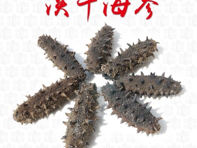 嘉岛珍参 醇品 淡干海参500g 大连辽参淡干刺参海参批发顺丰图1