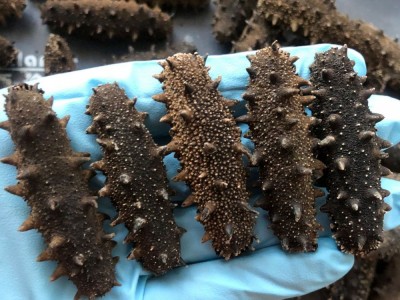 嘉岛珍参 醇品 淡干海参500g 大连辽参淡干刺参海参批发顺丰图2