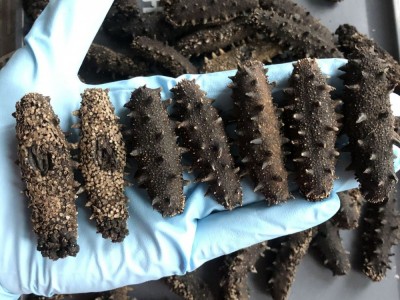 嘉岛珍参 醇品 淡干海参500g 大连辽参淡干刺参海参批发顺丰图3